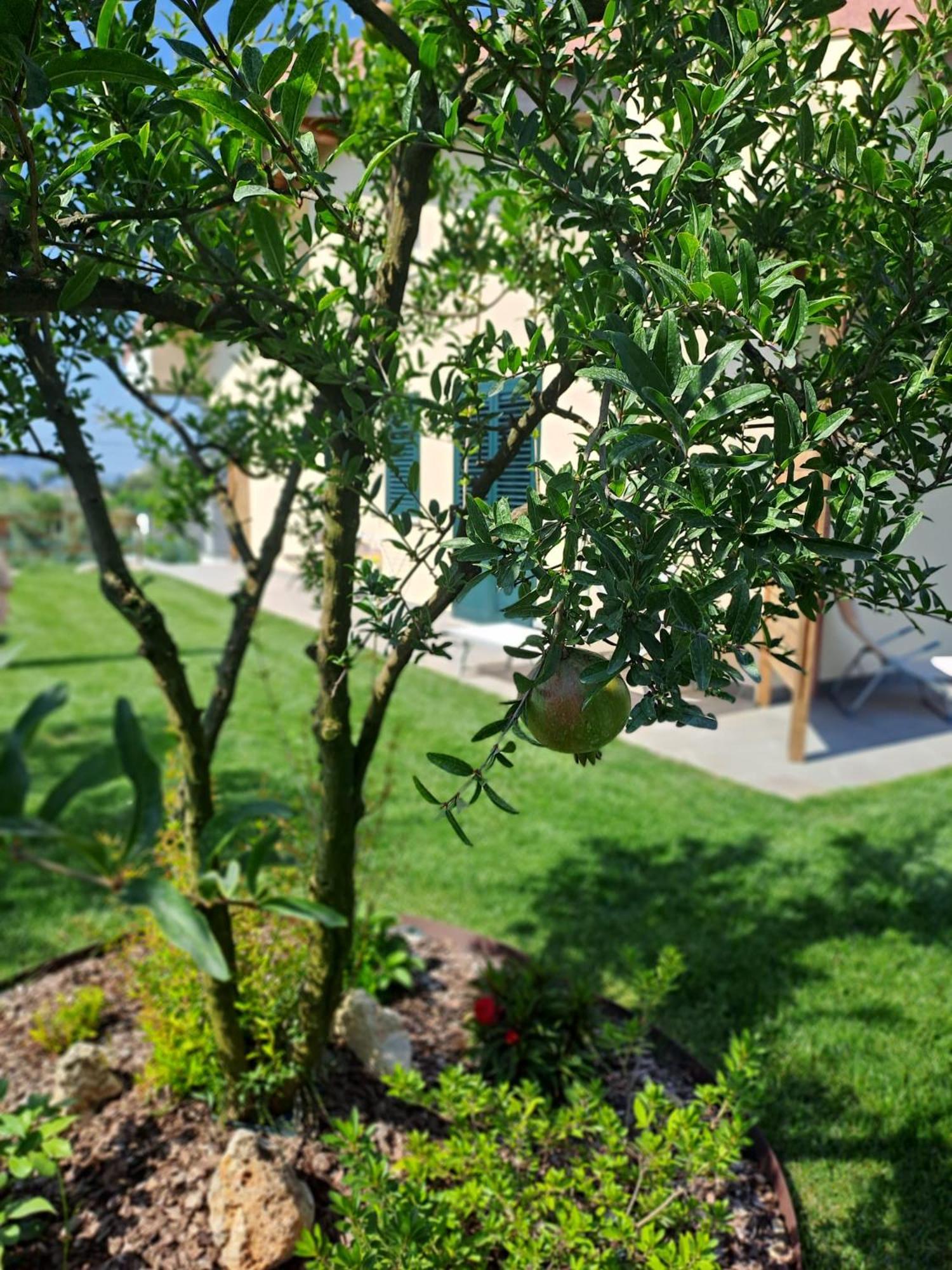 La Campagna Di Peppe E Tullia Bed & Breakfast Formia Exterior foto