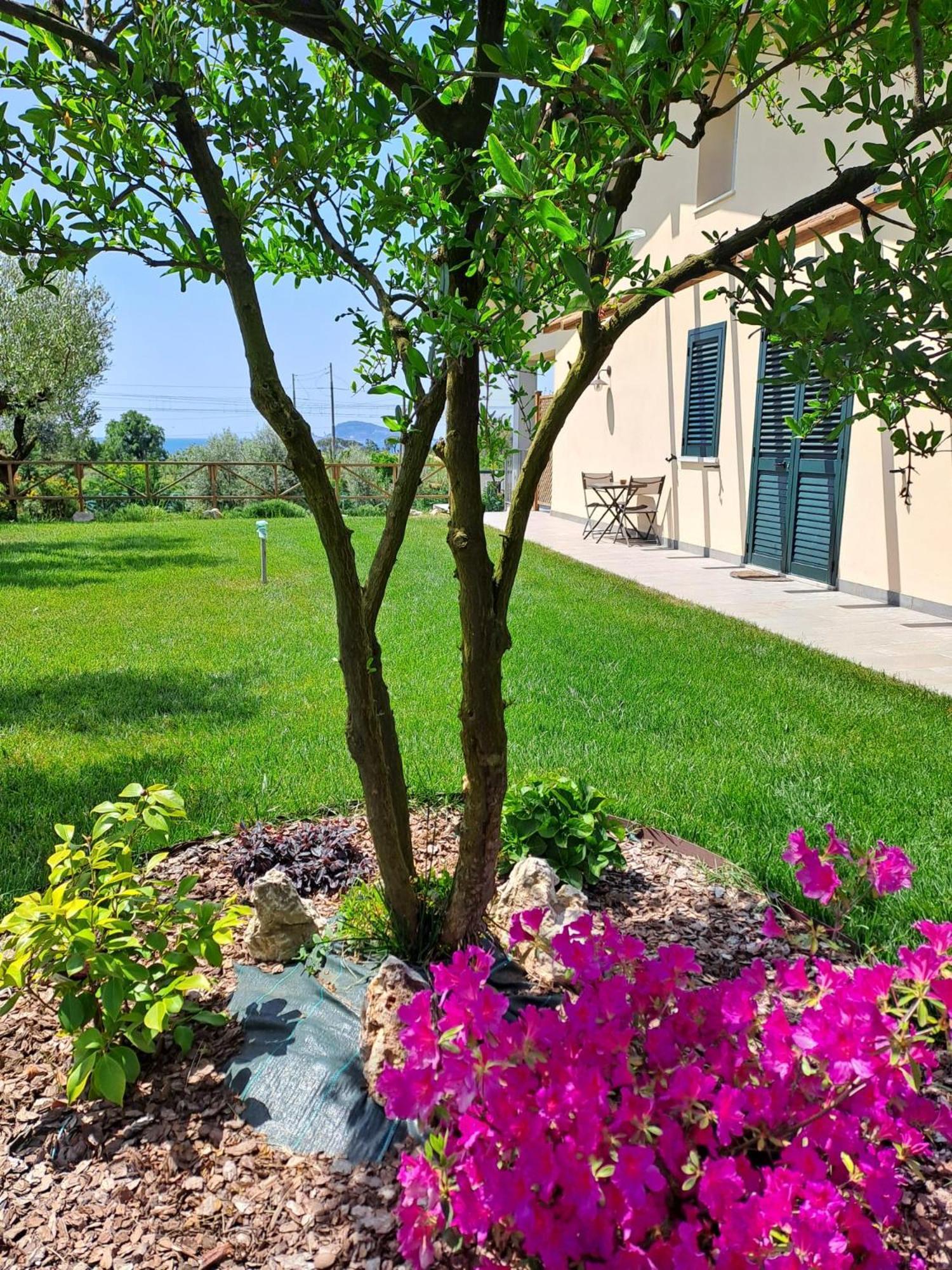 La Campagna Di Peppe E Tullia Bed & Breakfast Formia Exterior foto